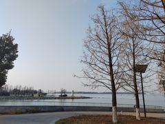 -苏州湾体育公园