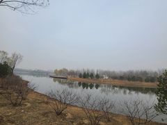 -东郊湿地公园