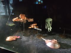 -同济大学四平路校区深海探索馆