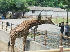 -西安秦岭野生动物园