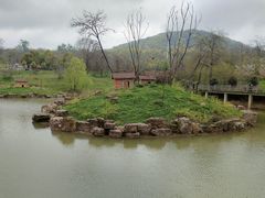 -合肥野生动物园