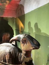 -恐龙探索乐园(磁器口店)