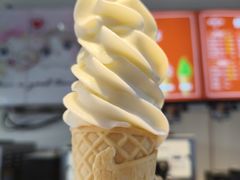 -萨朗刀克冰淇淋雪花凉(植物园店)