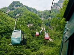-王顺山国家森林公园