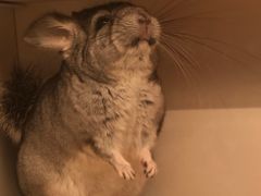 -龙猫仔乐园(惠福东路店)