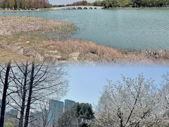 -苏州东太湖生态园