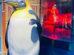 -海合安青岛极地海洋公园