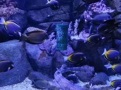 -成都浩海立方海洋公园