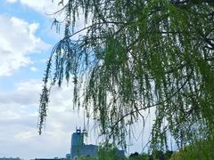 -长春市南湖公园