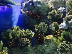 -福州罗源湾海洋世界旅游区