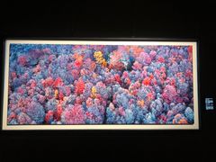 -罗红摄影艺术馆