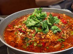 水煮牛肉-万重锦·人文川菜馆(骡马市店)