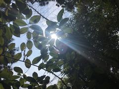 -分塔山省级森林公园