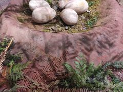 -湖南省地质博物馆