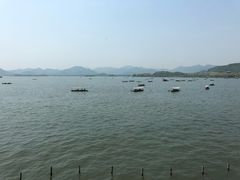 -湖畔居茶楼(湖滨店)