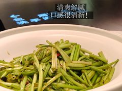 -湘力力小院·鱼汤泡饭(枫林路店)
