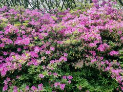 -宜兴龙背山森林公园