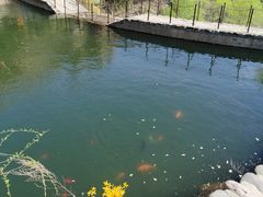 -北京凤凰岭