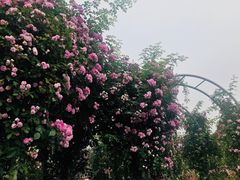 -尚贤河湿地