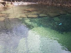 -白云源风景区