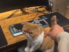 -沐禾网咖(财富店)