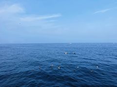 -大连海昌东方水城