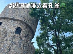 -J Create城市露营咖啡·简餐·宠物(上海动物园店)