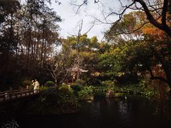 -广州兰圃