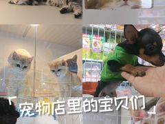 -天丰利生活MALL(和平里店)