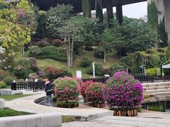 -盆满钵满·国家非遗传承(云台店)