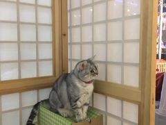 -小时光咖啡馆(开森度假森林店)