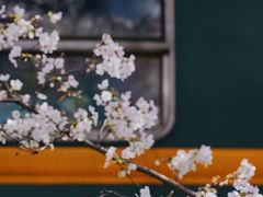 -新天地活力PARK