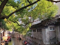 -绍兴鲁迅故里·沈园景区