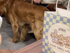 -屋裡·Union Bakery(龙江路店)