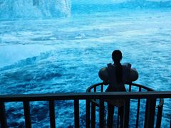 -同济大学四平路校区游泳馆