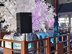 -上海环球金融中心骑迹50年环球之旅