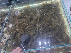 -聚盛源蒸汽海鲜火锅烤肉自助(巨川金海岸购物广场店)