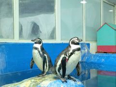 -太平洋海底世界