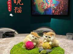景观位-黄晓猫剁椒大鱼头(海岸城店)