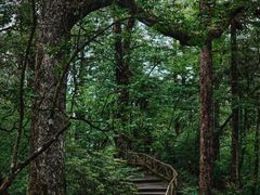 -龙苍沟森林公园