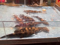 -乡里八闽·福州乡土菜(火车北站店)