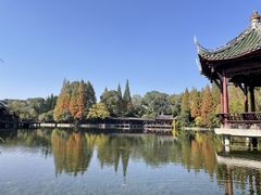 -棠湖公园
