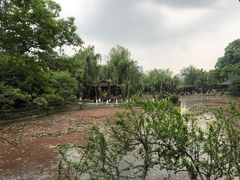 -桂湖森林公园