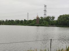 -昆山城市生态森林公园