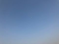 -洨河生态公园
