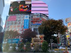 -涩谷区