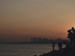 -深圳湾公园(南山区)