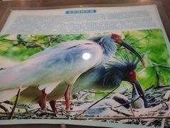 -下渚湖国家湿地公园科普馆