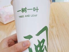 -一树一叶·福建茶档(石鼓路店)