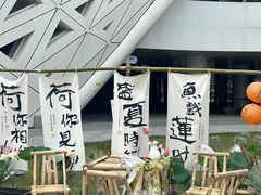 -金沙湖公园